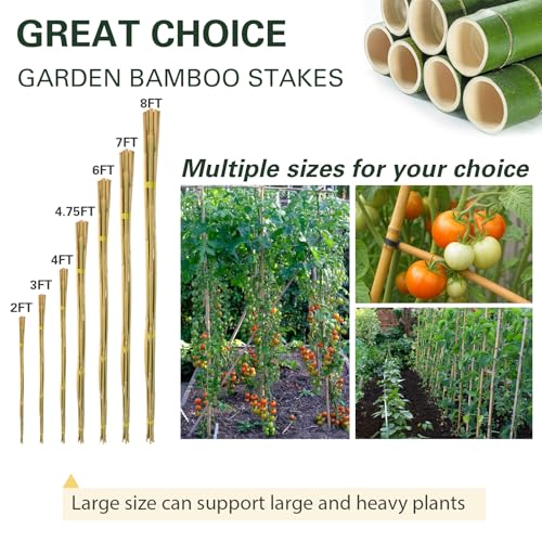 50pcs Bamboo Stakes 92 Inch (8FT, Pack of 50)