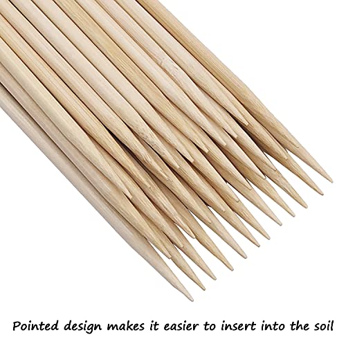 Bamboo Plant Stakes25Pack (Burlywood / 14 Inch 25Pack)