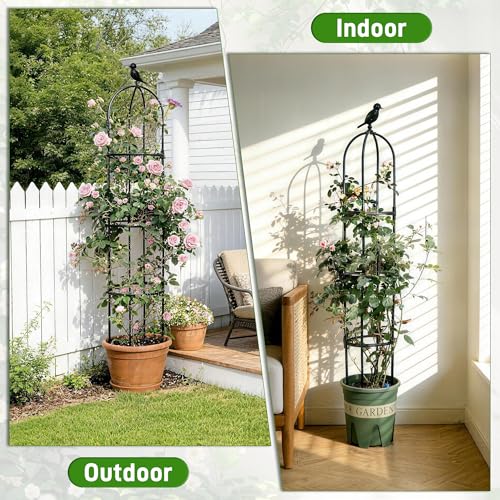 2 Pack Trellis for Climbing Planting Outdoor (BLACK / 2 PACK)