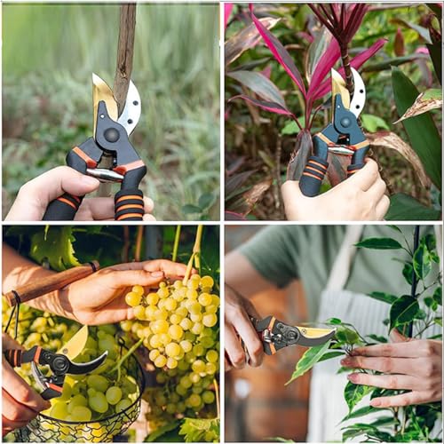 Ultra Sharp Titanium Steel Pruning Shears (gy-b09)