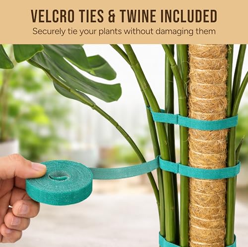Moss Pole Monstera Plant Support (2-Pack (48 in))