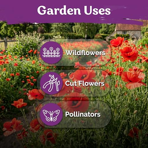 6 500 Red Poppy Heirloom Flower Seeds for Planting