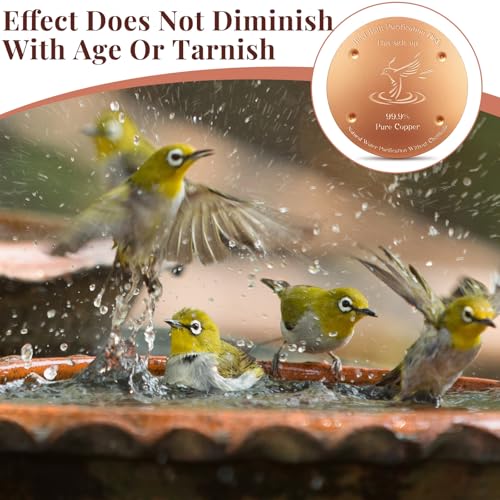4'' Copper Disc for Bird Bath (Bird Pattern)