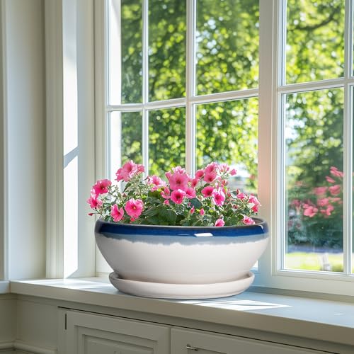 Bonsai Tree Pots (12 Inch / Blue Off-white)