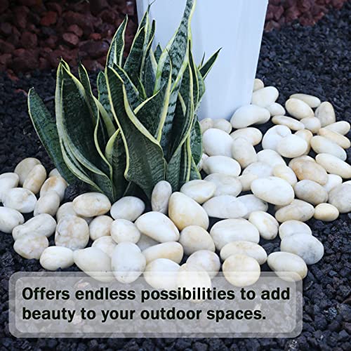 11LB Stones Pebbles River Rocks (11 Pounds / Cream White)