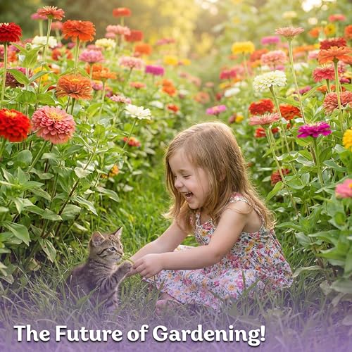 550 California Giant Zinnia Heirloom Flower Seeds