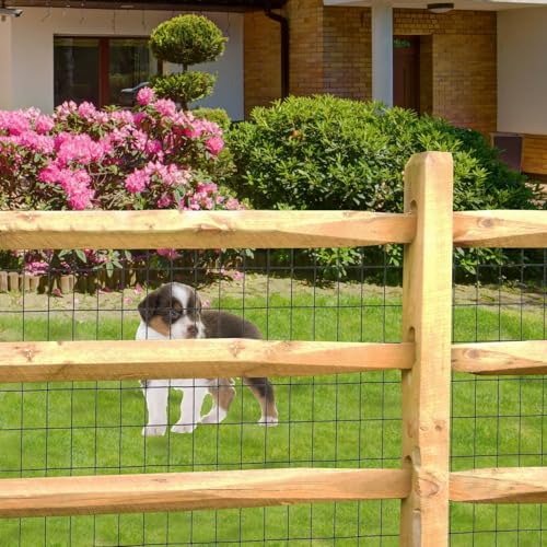 Black PVC Coated Welded Wire Fence 24" x 100' Roll (Black / 2''x3'' 16GA 24''x100')
