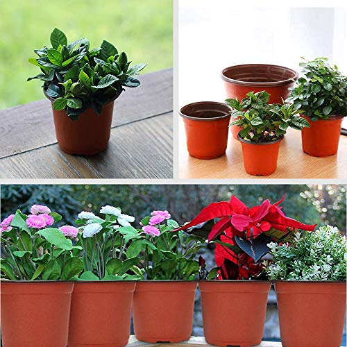 100 Pcs 3.5 Inch Plastic Seedlings Plants (100 Pcs 3.5 Inch)