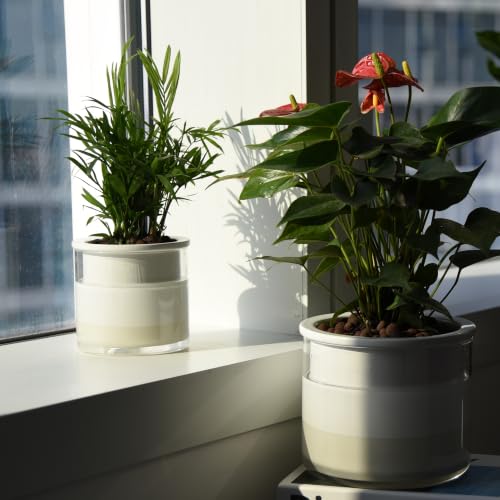 6 Inch 4 Inch Self Watering Planter Pots (4+6 Inch / White)