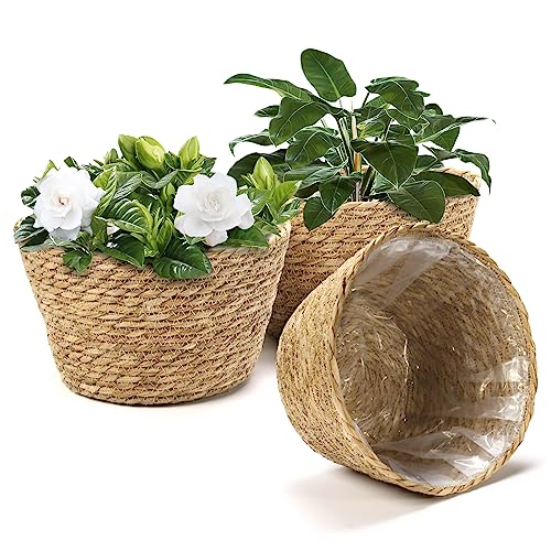 Woven Plant Basket Set of 3 with Plastic Liner (Natural Color-3)