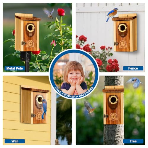 2 Pack Bird House (Medium-roast coffee color -- 2PK)