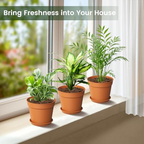 10 Pack 6 Inch Plant Pots with Drainage and Saucers (10 Count)