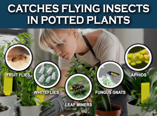 30 Pack) Yellow Stake Sticky Insect/Bug Traps - Catch and Kill Fungus Gnats, Whiteflies, Mosquitos, Aphids, Leaf Miners, Flying Insect Catcher Glue Trappers for Indoor or Outdoor (30 Count)