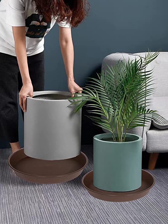 2 Pack of 8 inch Plant Saucer Clear (8" (2 pack) / Chocolate)