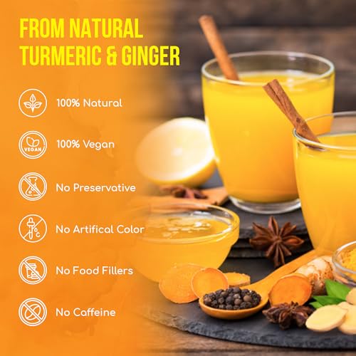 Premium 210 Ginger Turmeric Tea Bags (210 Tea Bags)