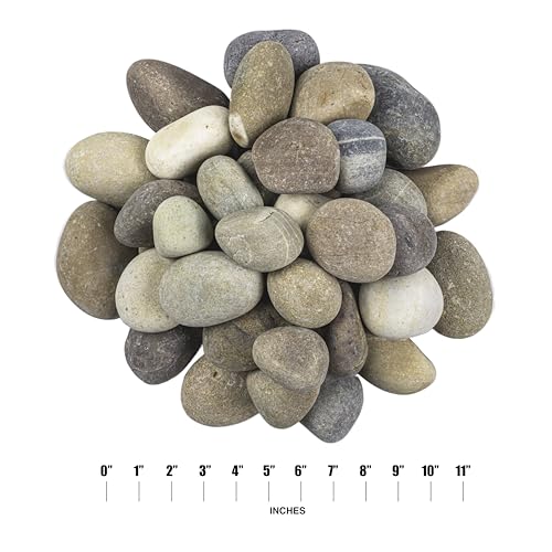 Multicolor Polished Decorative Pebbles Landscape Stone 40 lb (1 inch - 2.5 inch)