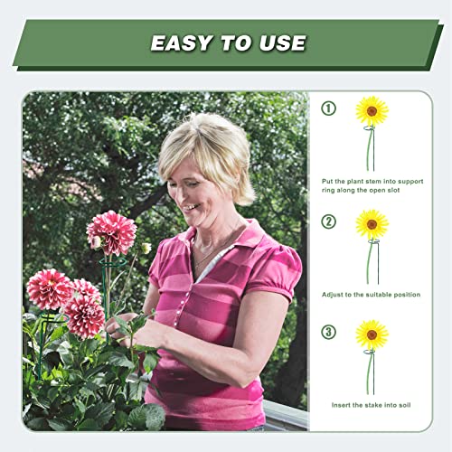 12 Pack 24 Inch Plant Support Stakes for Outdoor Plants and Indoor Flowers (24 inch)