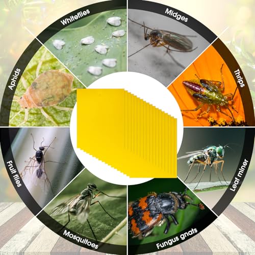 220 Pcs 7.87 x 9.84 Inch Yellow Sticky Traps for Plant Gnats Dual Sided Fruit Fly Sticky Traps for Indoor Outdoor with Twist Ties & Plastic Holders for Insect (7.87 x 9.84 Inches)