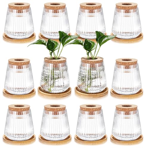 12 Pack Propagation Vases for Plants (Vertical Grain Style)