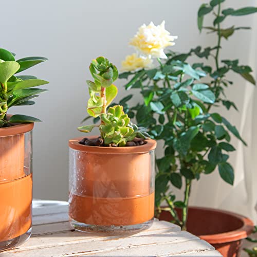 4 Inch Self Watering Plants Pot (2 Count)