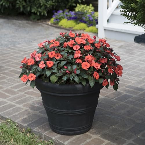 Brunello Classic Rolled Rim Planter Pot