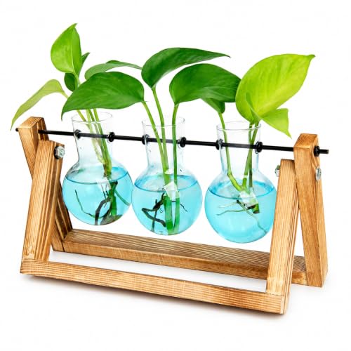 Plant Terrarium Kit with Wooden Stand 3 Gradient Blue Bulb Vases (Blue)