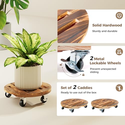 Plant Caddy 12 Inch Wood Dolly with Drainage Tray 2 Pack (Brown / 12inch-Round-2pack-Tray)