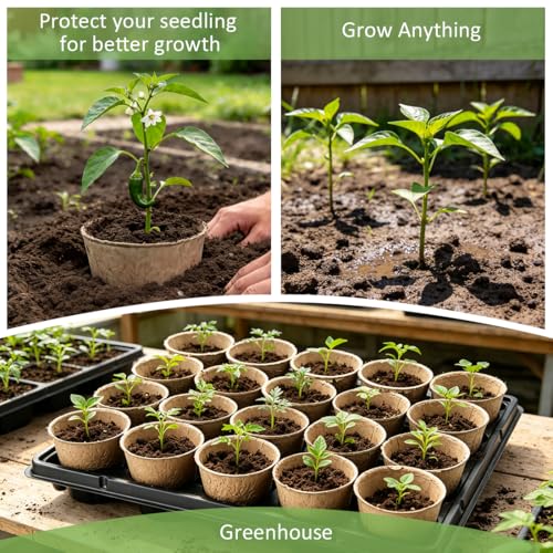 3.15 Inch Peat Pots 200 Pcs with 10 Pack 20 Cell Seed Starter Trays (Black / 3.15 Inch Peat Pots 200 Pack with 10 Pack Trays)