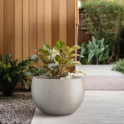 Accent Round Bowl Weathered Concrete Planter 14.8" Dia (Weathered Concrete / 15.7" d)
