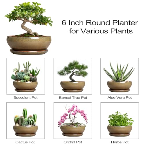 Bonsai Pots Small (6 Inch / Speckled Brown)