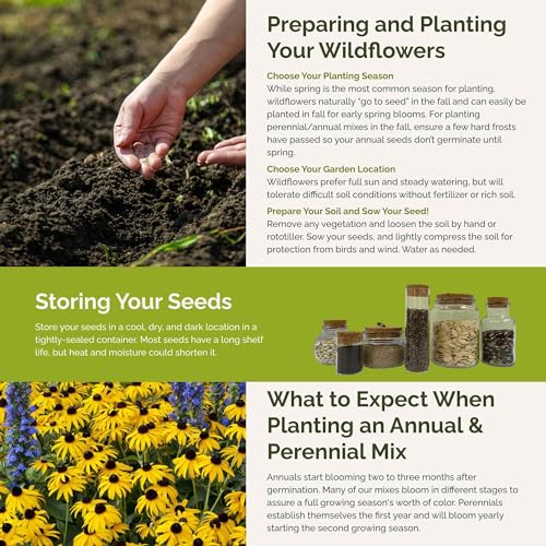 Late Bloomer Wildflower Mixed Seeds for Planting