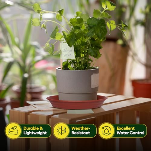 6 Pack 12" Plant Saucers Heavy Duty Plastic Plant Trays for Pots (12"(6 pack) / Brown)