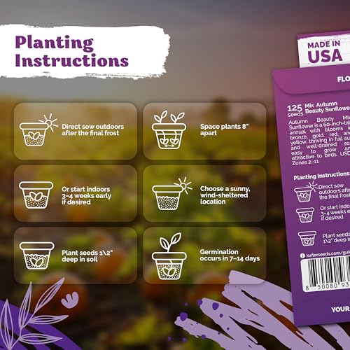 125 Autumn Beauty Mix Sunflower Heirloom Flower Seeds