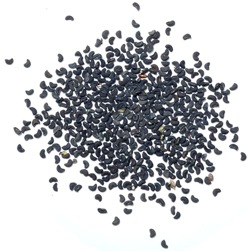 Rue Seeds to Plant Heirloom Non (5 Packs)
