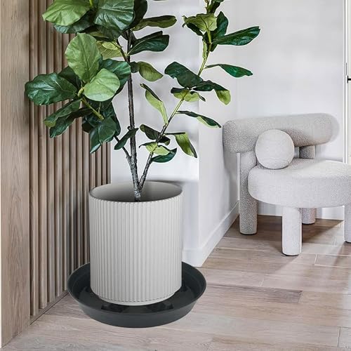 2 Pack Plant Saucer 14 inch (14"-2 Pack / Black)