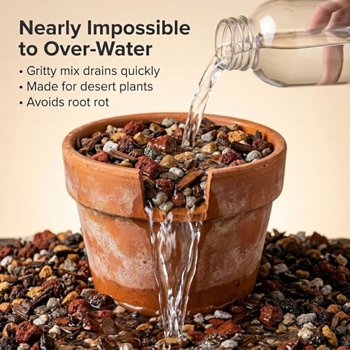 Molly's Succulent Potting Mix