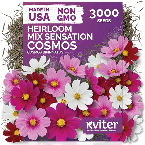 3 000 Mix Sensation Cosmos Heirloom Flower Seeds