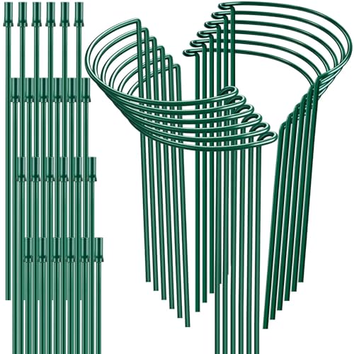 12 Pack 32 or 16 inch Adjustable Plant Support Stakes (Green - 12 Pack / 10" W x 31.8" H)