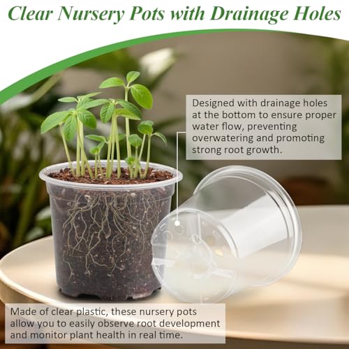 60 Pack Clear Nursery Pots with Humidity Domes (4 Inch Clear Pots With Domes-60p / 4Inch)