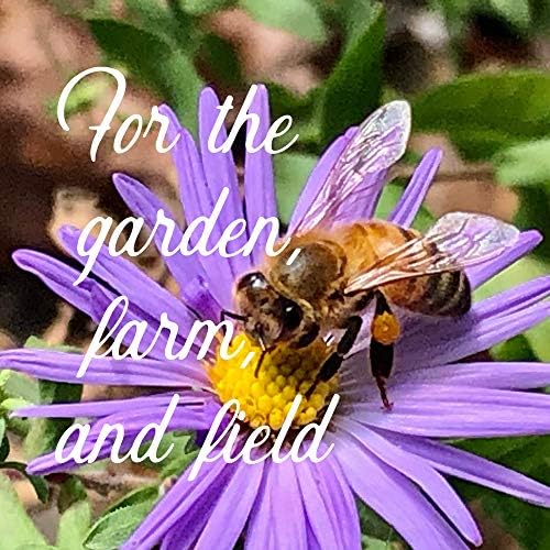 Mountain Valley Seed Co All Annual Wildflower Mix Seeds for Planting 4 Oz (4 Ounce)