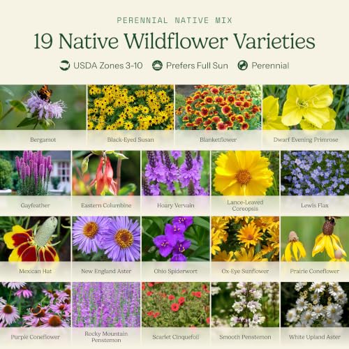 Native Perennial Wildflower Seed Mix (1/4 Pound / Native Perennial)