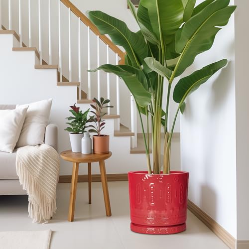 12 Inch Pots for Plants (12 Inch / Red)