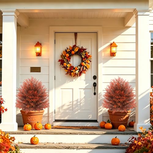 Fall 2 Pack 24 Inch Cedar Topiary Trees with Ground Spikes (Fall Cedar)