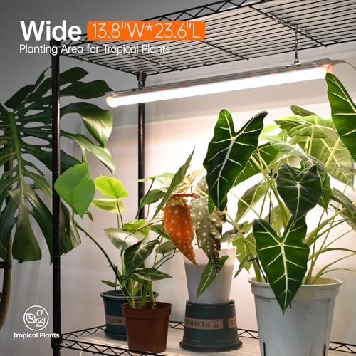 Plant Stand with Grow Light