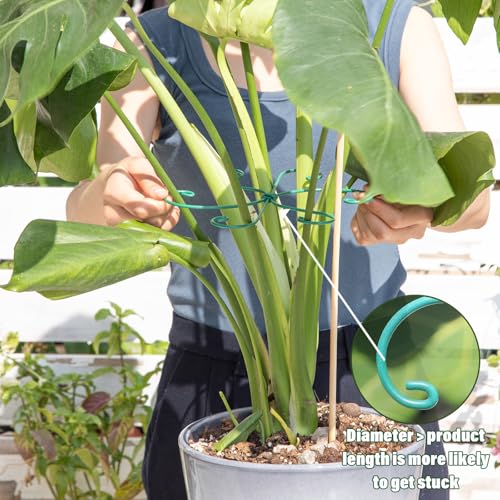 Green Monstera Plant Stem Support Set (Green / 7.5IN*7.5IN)