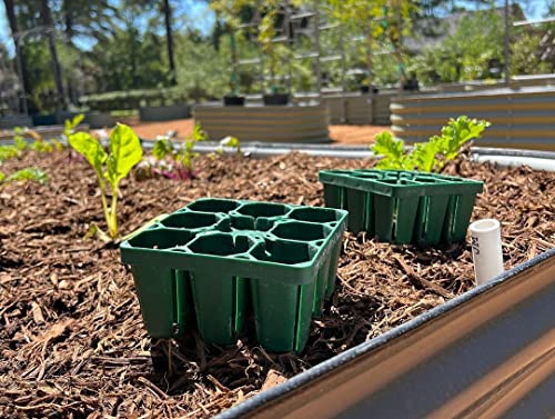 Standard Seedling Trays Without Lids (32 Count)