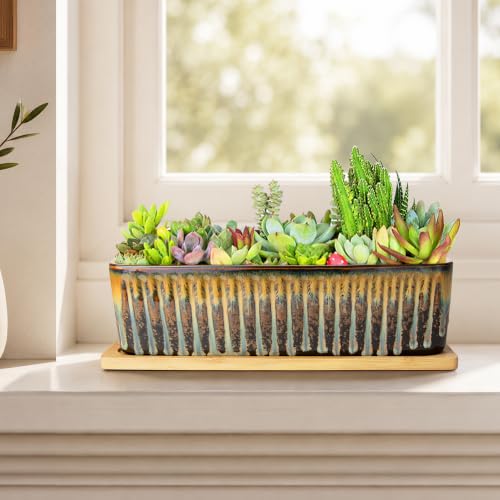 Succulent Pots (Flow Glaze)