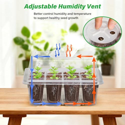5 Pack Seed Starter Trays (Clear / 5 Packs)