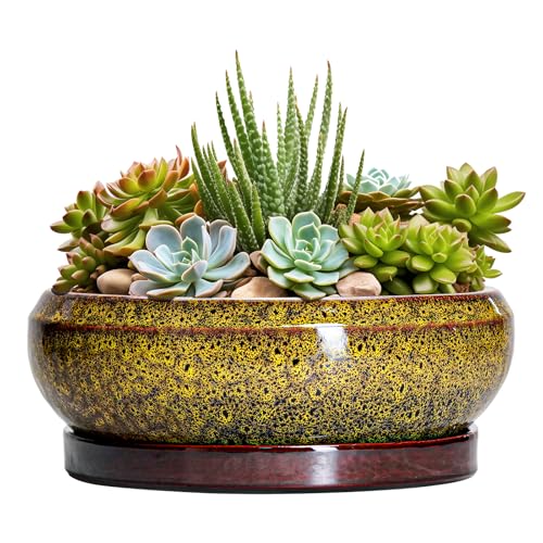 Succulent Planters 8 Inch (8 Inch / Leopard Yellow)