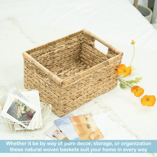 Large Rectangular Wicker Basket with Wooden Handles for Shelves and Storage (Water Hyacinth / Large (14.5"L x 10.3"W x 7.5"H))